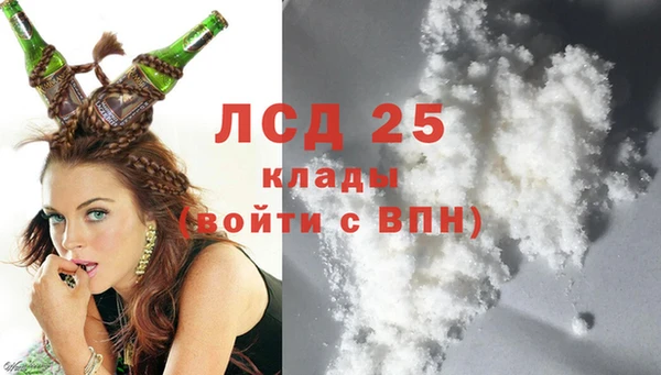 амф Богданович