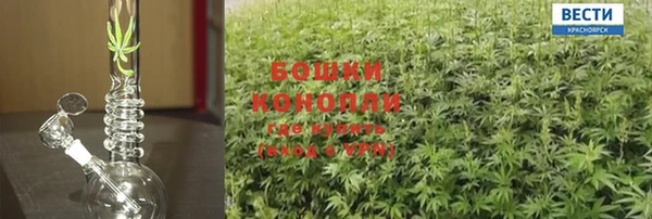 амф Богданович