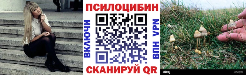 Псилоцибиновые грибы прущие грибы  где купить наркоту  Талица 